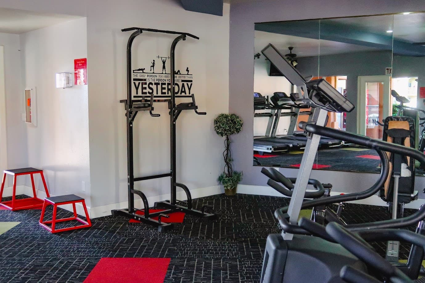 Free-Weight Station and Mirrored Wall