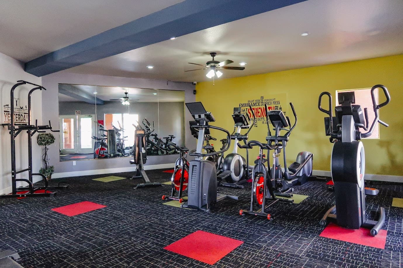 Ellipticals and Stationary Bikes
