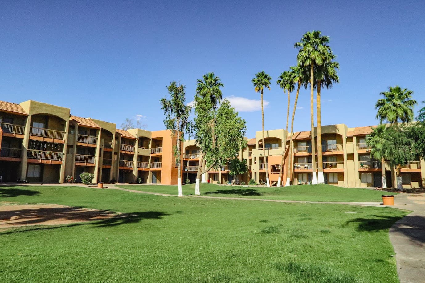 Open Lawn Between the Buildings