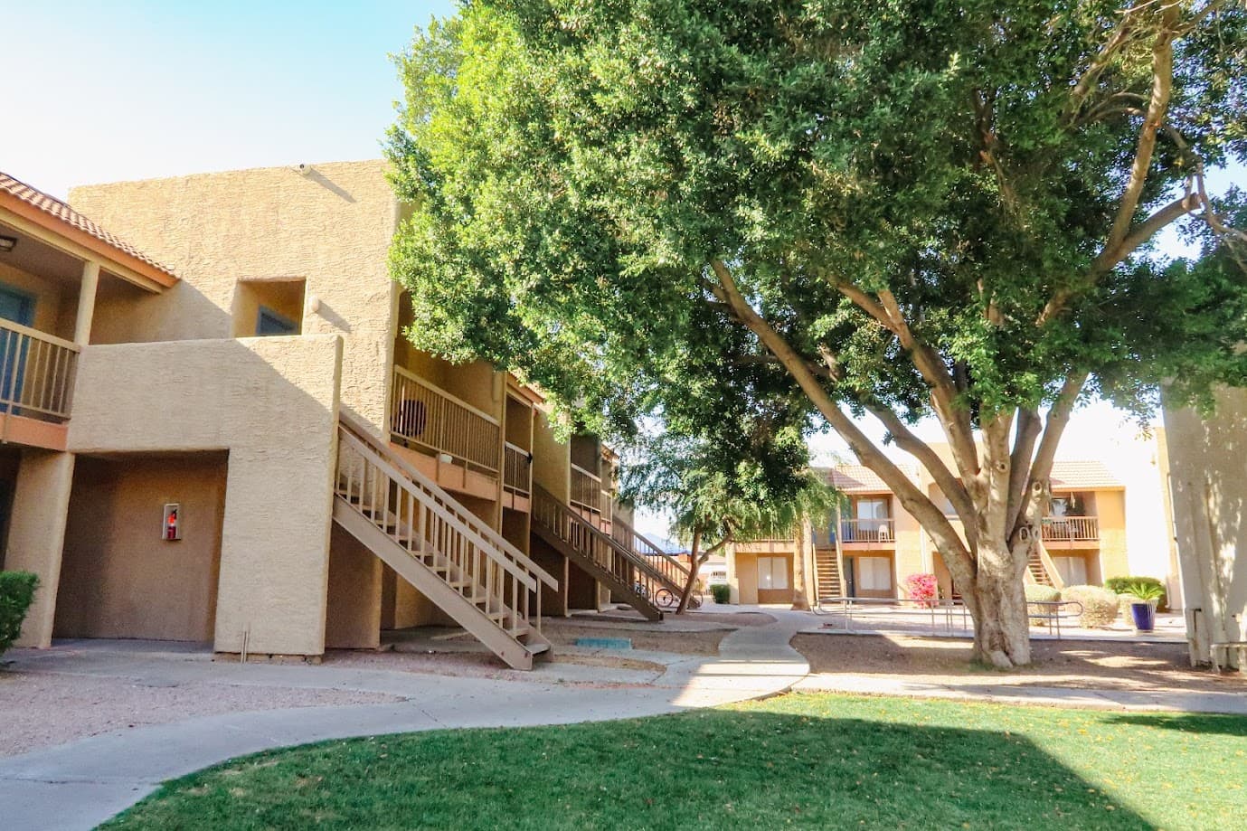 Courtyard Shade Tree and Stairs