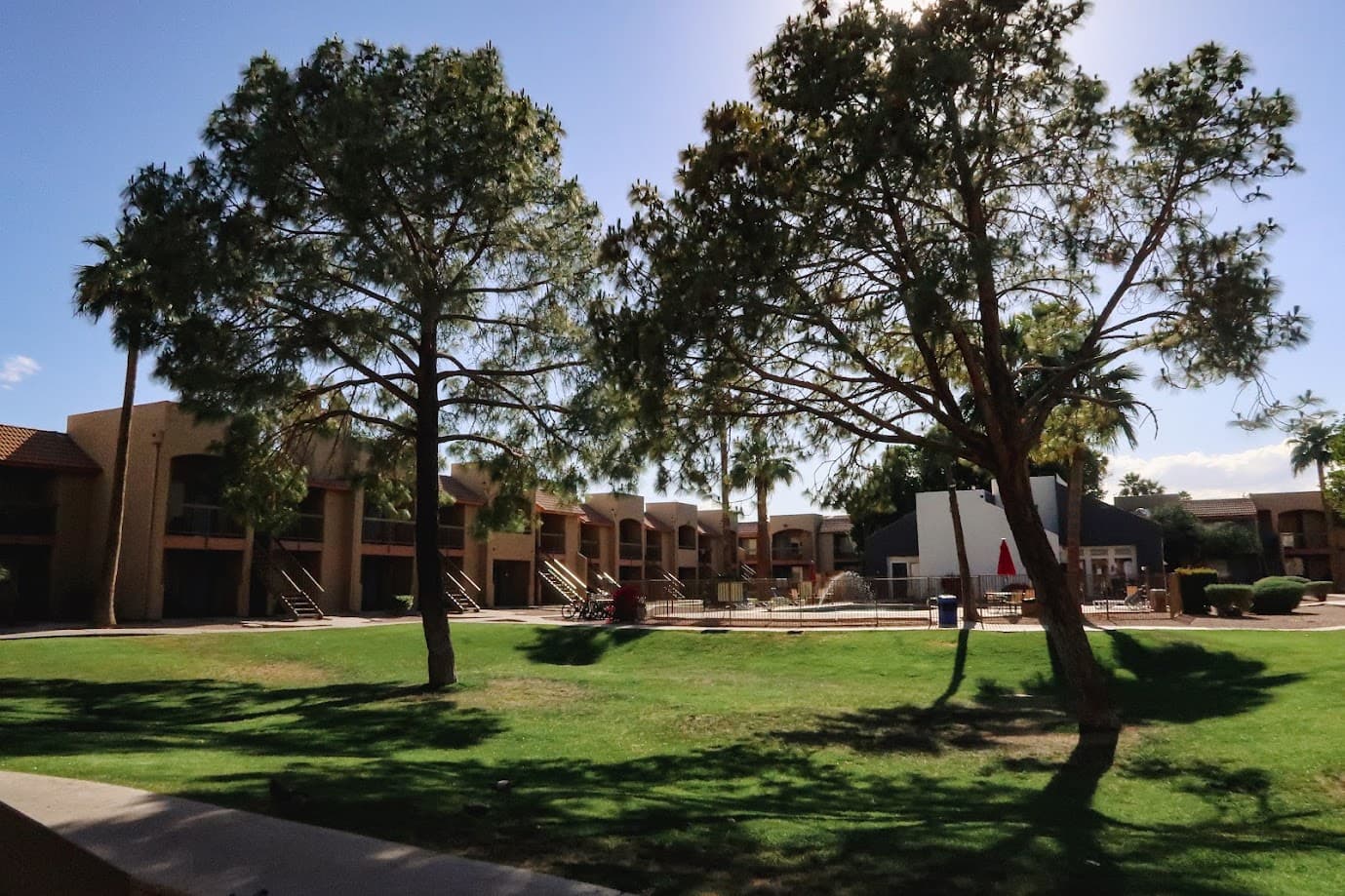 Shaded Picnic and Recreation Lawn